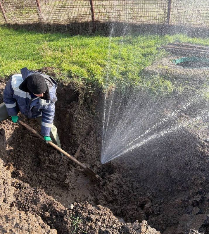 � ���������� ������ ������������ ������ �� ������������ ������� �������������