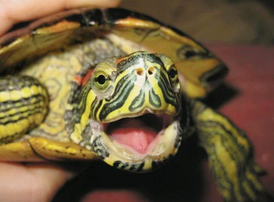 ������� ������! ���������� � ��� ������� ������!