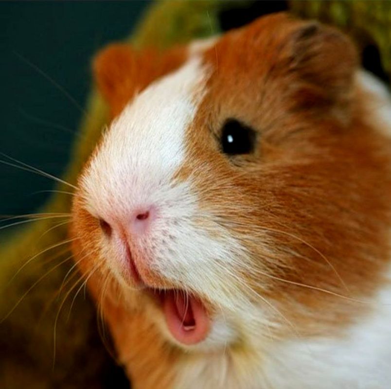 ������� ������! ���������� � ��� ������� ������!