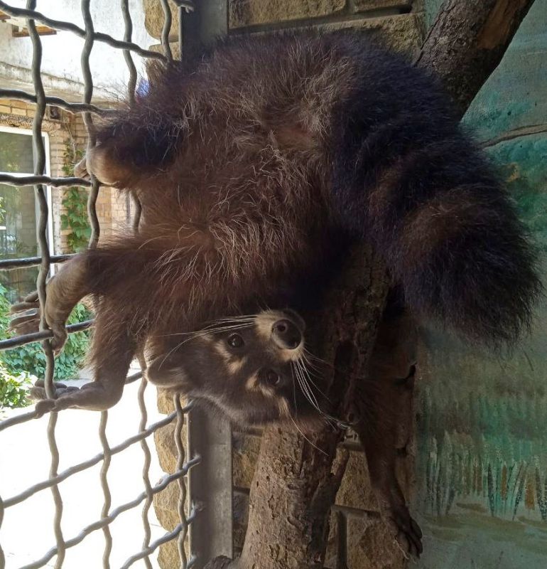 ������� ������! ���������� � ��� ������� ������!