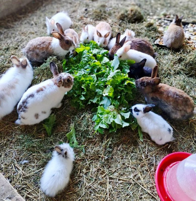 ������� ������! ���������� � ��� ������� ������!