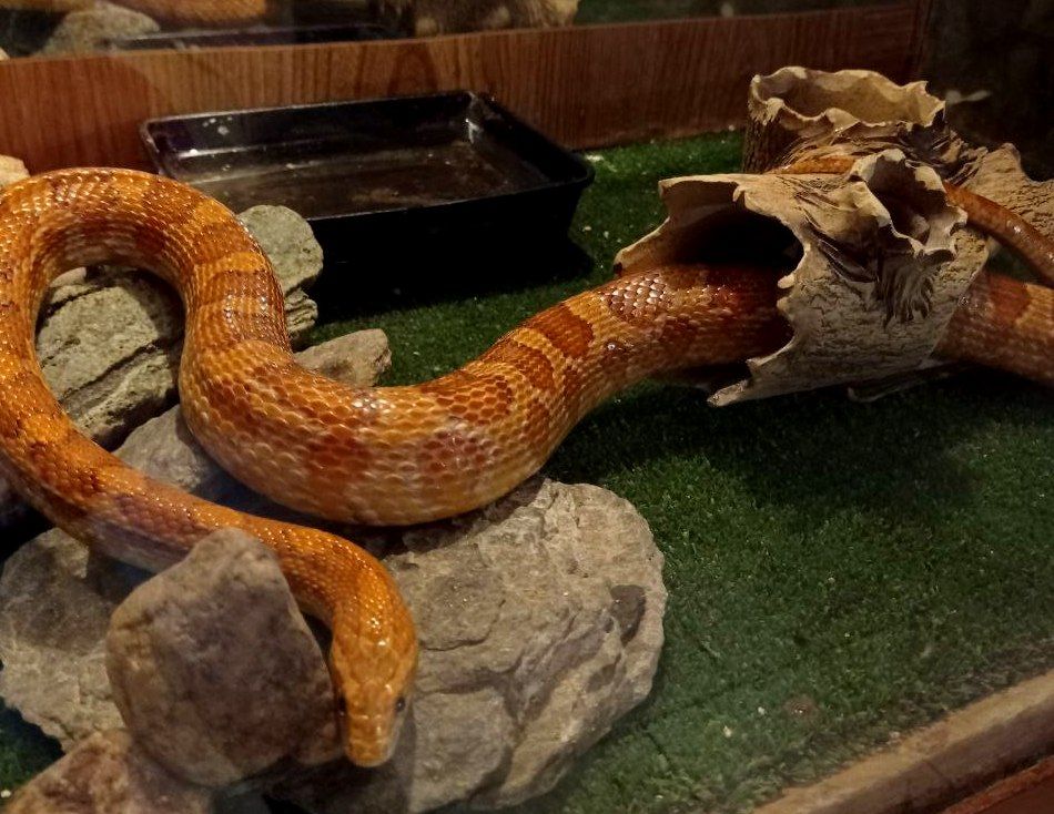 ������� ������! ���������� � ��� ������� ������!