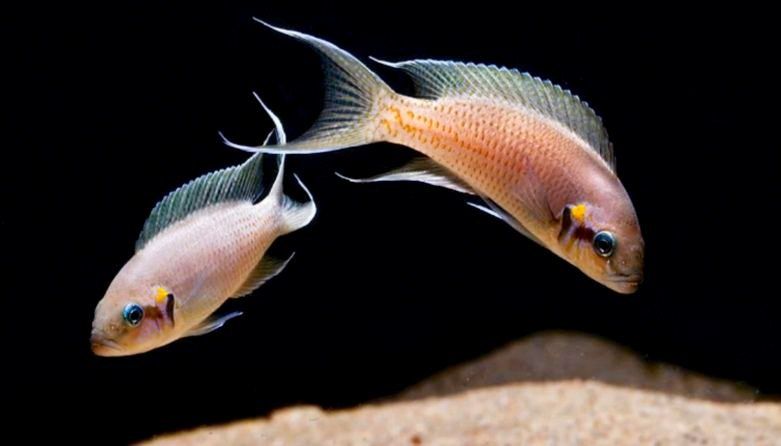 ������� ������! ���������� � ��� ������� ������!