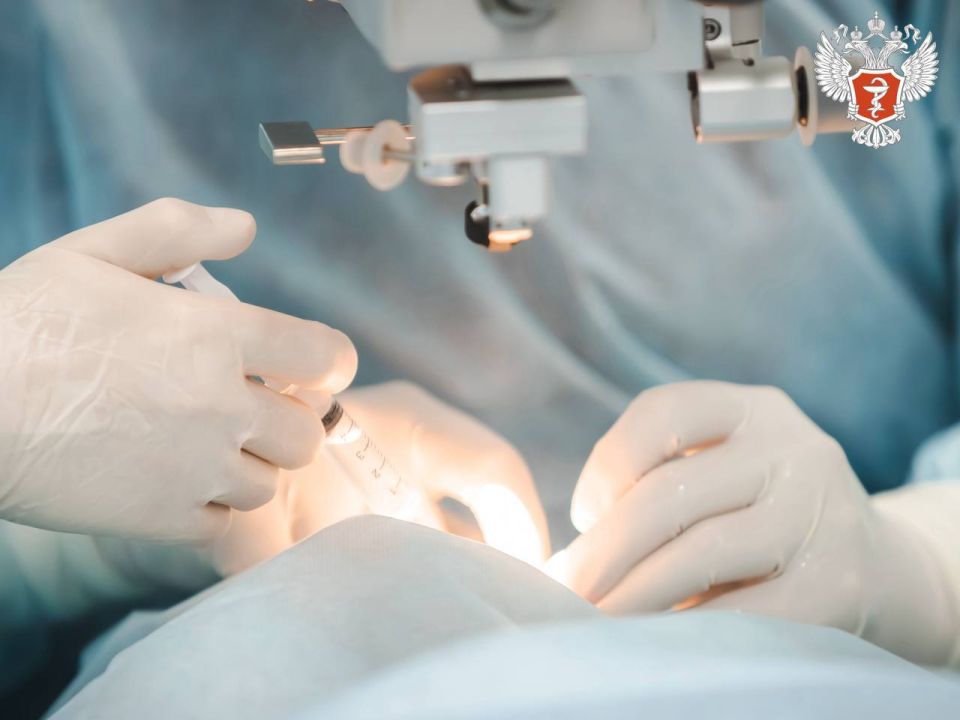 ����������� ���� ���� �������������� ����� ��. ��. �.�. Ը������ ��������� ������ ���������� ��������� ������ ������� ����� �������� ������