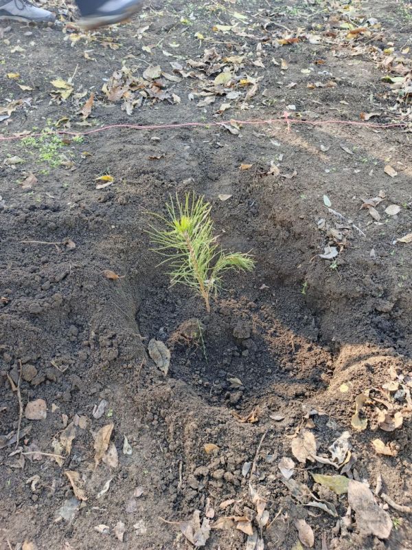 ������������� ����� �� ��� ��������� ��������