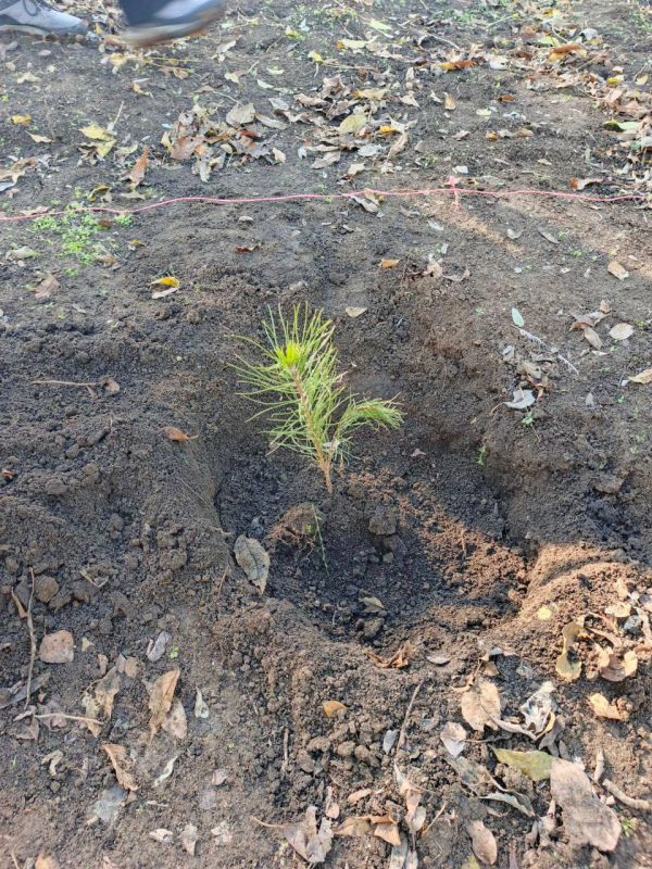 � ������ ������������� �����, ������������ �� ��� ��������� �������� � �� ���������� �������������, ������������ ��� ��� �� ��������� ������� ��� �4 ����������� ����������� ������ �������� ������� ������� � ����� ������!