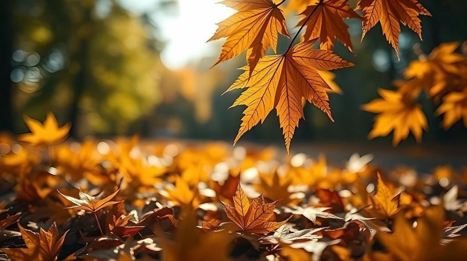 Доброе утро. А вы знали, что сегодня