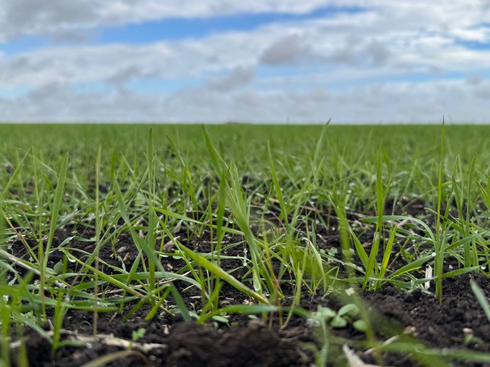 ���������� ������� ����� � ����� ������������