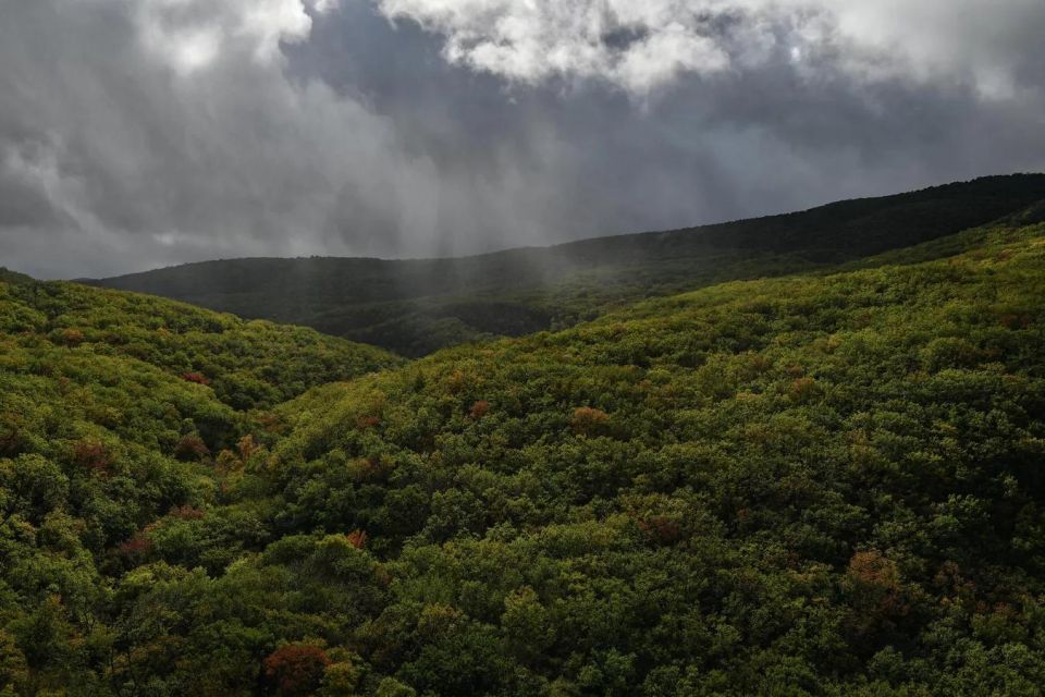 ������ �� ����� ����������� ������