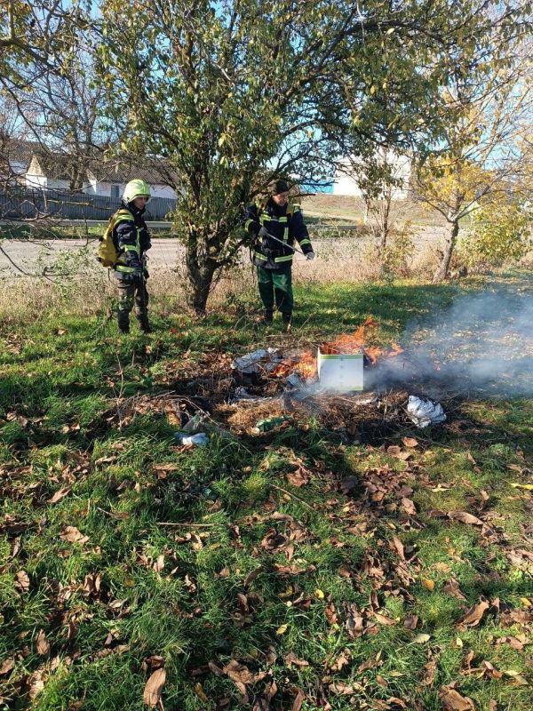 � ��������� ������ ������ �� �������� ������������