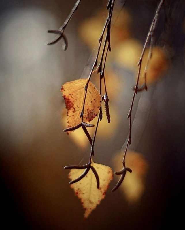 ������ ����. � �� �����, ��� �������