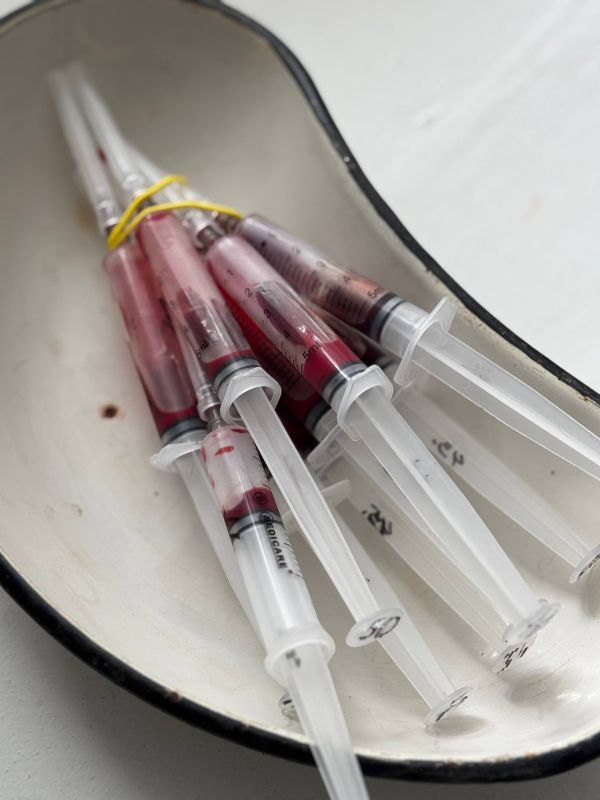 ��� � ����������� ������� ������������ �������� �������� � ������������ ���������?