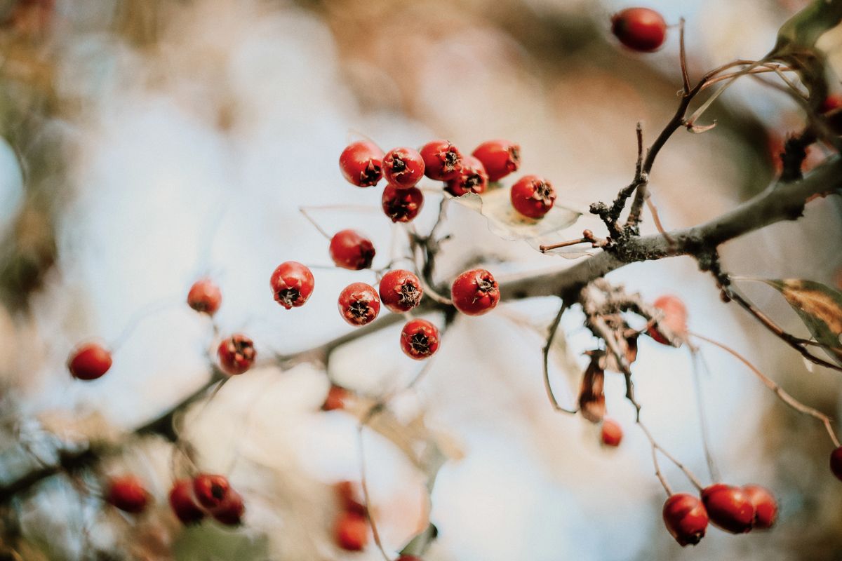 Доброе утро. А вы знали, что сегодня