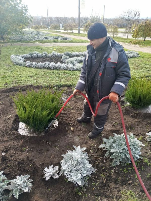 ���������� ��� ��������� �������� �������� ������� �������������