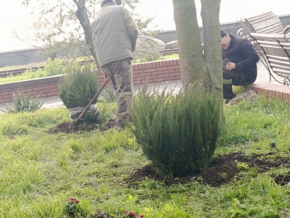 ���������� ��� ��������� �������� �������� ������� �������������