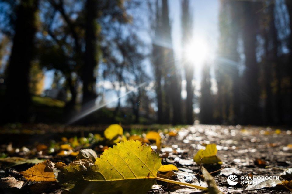 ������ �� ����� ����������� ������