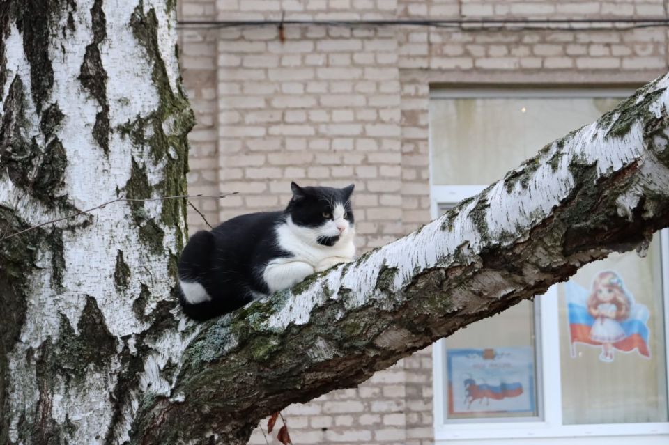 ������ ����. � �� �����, ��� �������