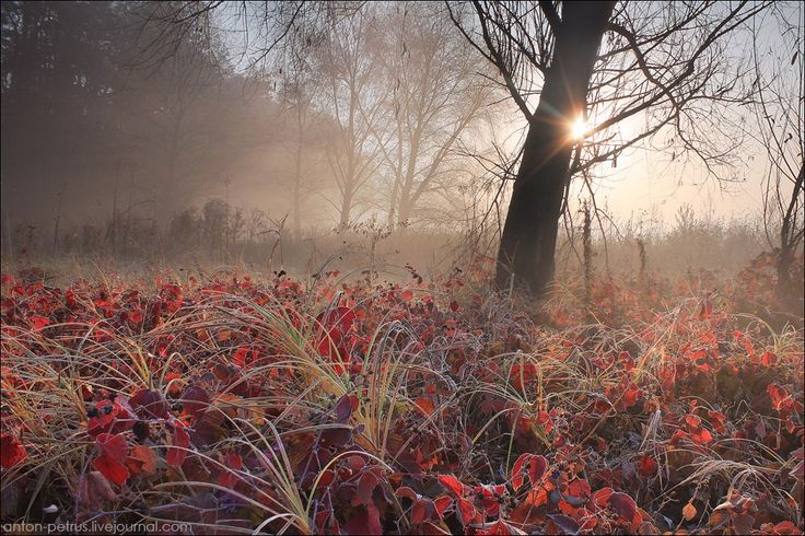 Доброе утро. А вы знали, что сегодня