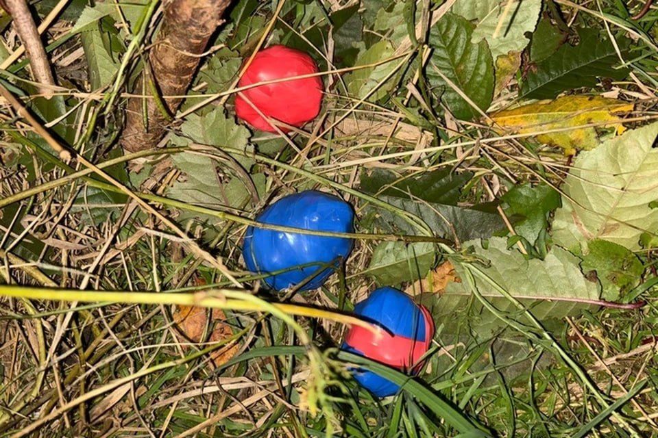 � ��������� ������ �� �������� 126 ������� ����������