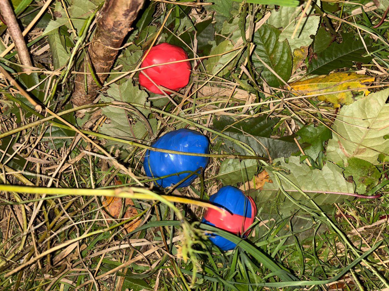 Закладчица-рецидивистка снова задержана в Бердянске Закладчица-рецидивистка снова задержана в Бердянске