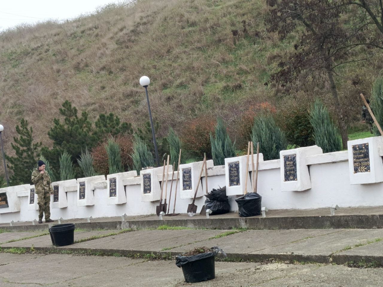 «Зеленхоз» высадил в Бердянске еще 30 кустов можжевельника «Зеленхоз» высадил в Бердянске еще 30 кустов можжевельника