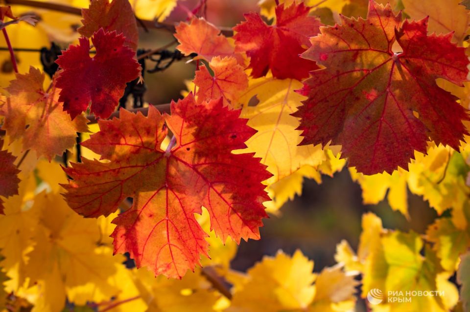 ������ �� ����� ����������� ������