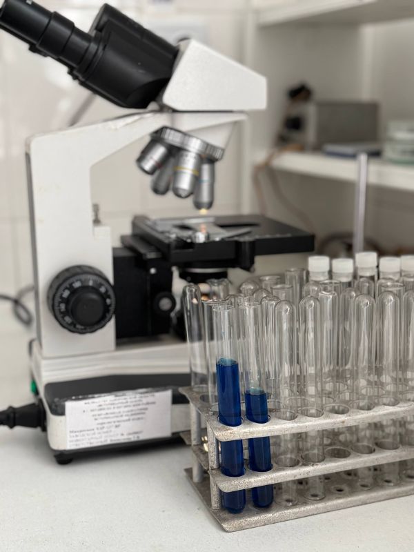 ��� � ����������� ������� ������������ �������� �������� � ������������ ���������?