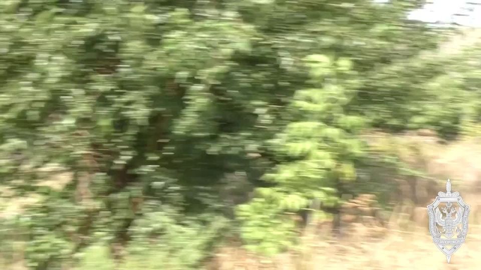 ����� �� ����������� ������� ������� 12 ��� �� ���� ���� ���������� �������