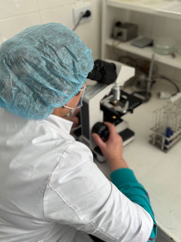 ��� � ����������� ������� ������������ �������� �������� � ������������ ���������?