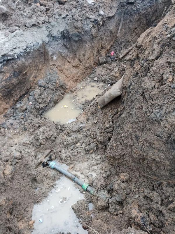 ���������� ������� �� ����������� � ���� ����������