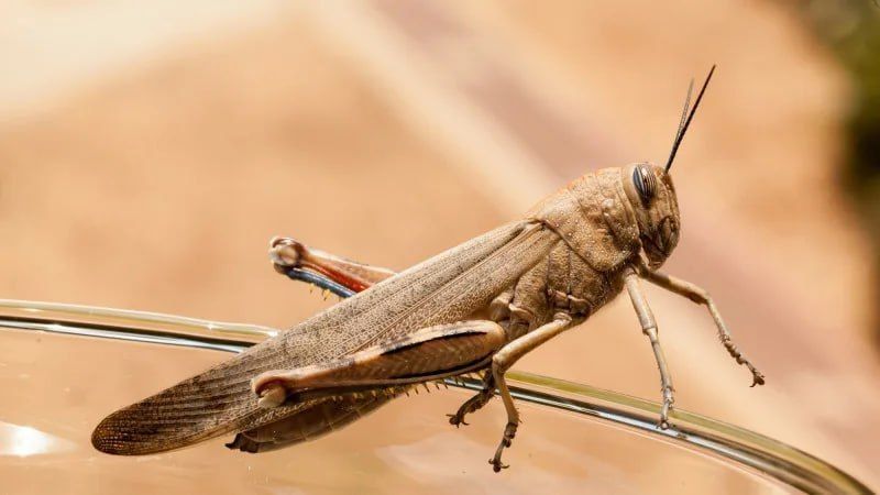 ������������ ����� �� ������� ������� ������� ������������ � ����������� �������