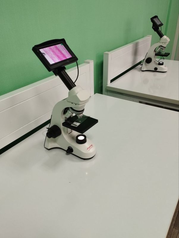 ������������ ��������� �� ���������: ����� ���������������� ������������ � �����