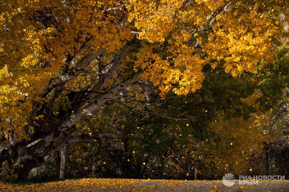 ������ �� ����� ����������� ������