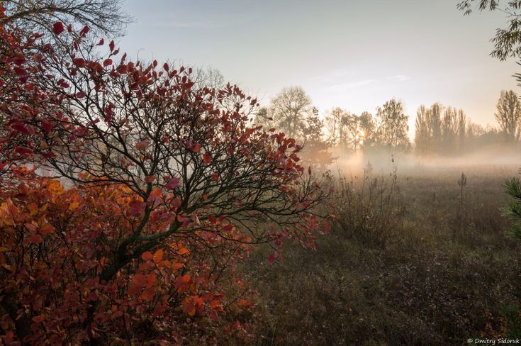 ������ ����. � �� �����, ��� �������