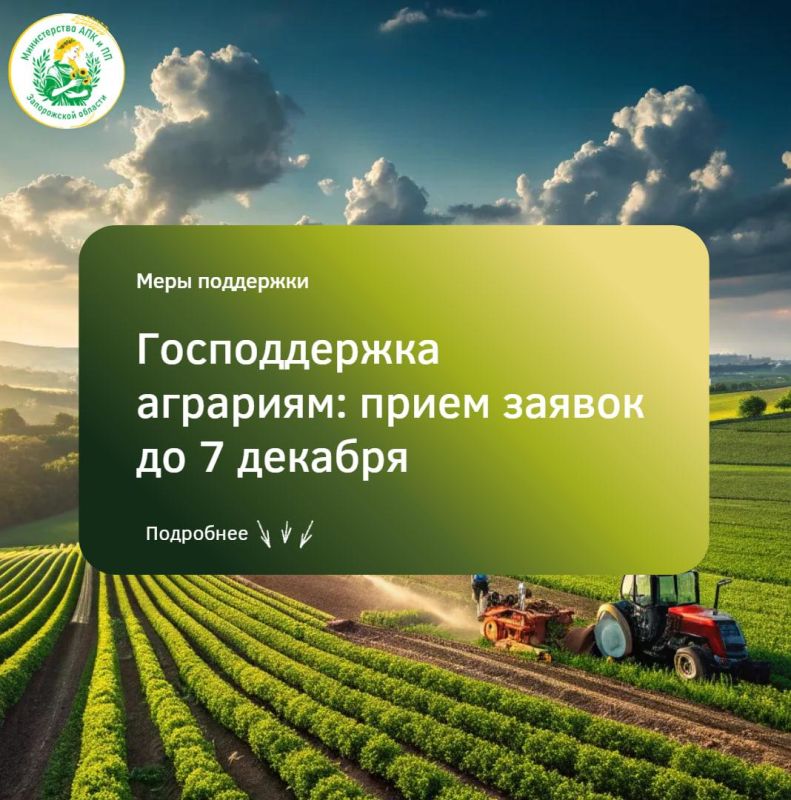 ������������ �������� ����������� �������: ����� ������ �� 7 �������