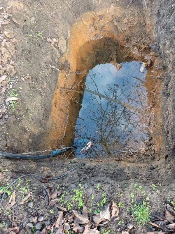 ���������� ������� � ���� ��������