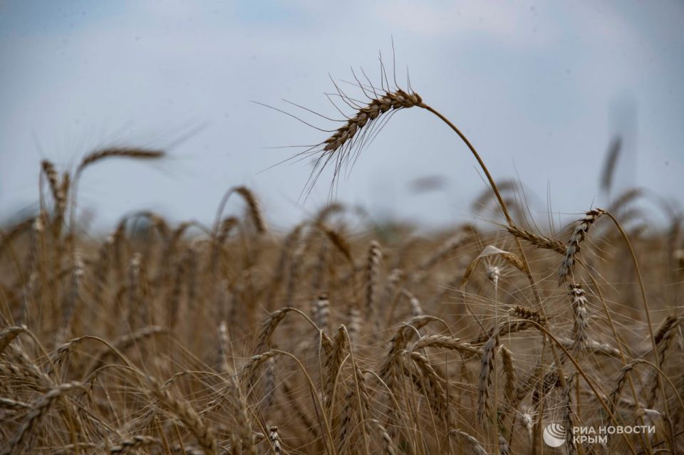 ������ �� ����� ����������� ������