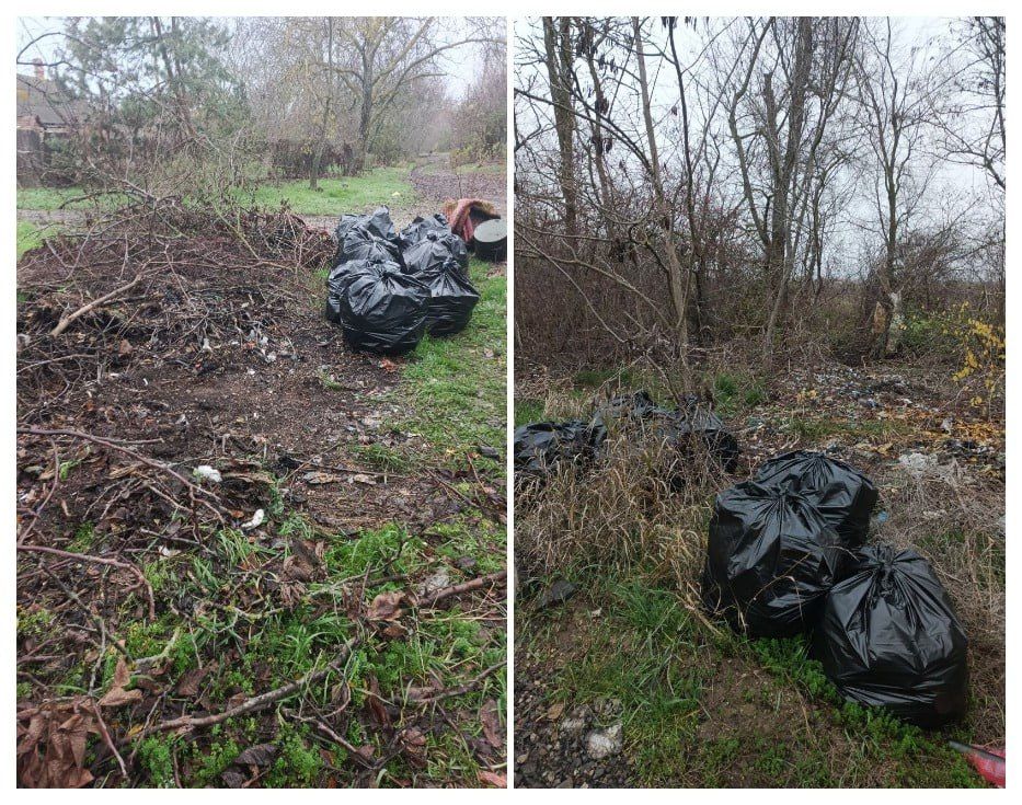 ��������� � �����������: ������ ������ ���� ����!