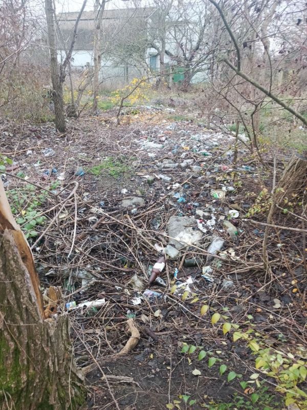 ��������� � �����������: ������ ������ ���� ����!