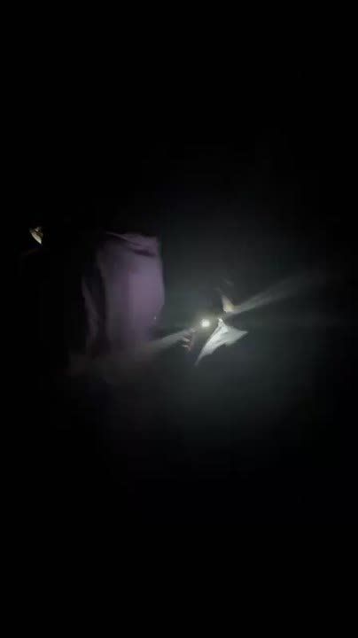 ����������������� �� ��� ������ �� ������������� �� ���� ���������