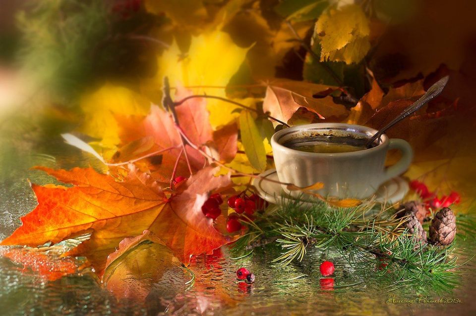 ������ ����. � �� �����, ��� �������