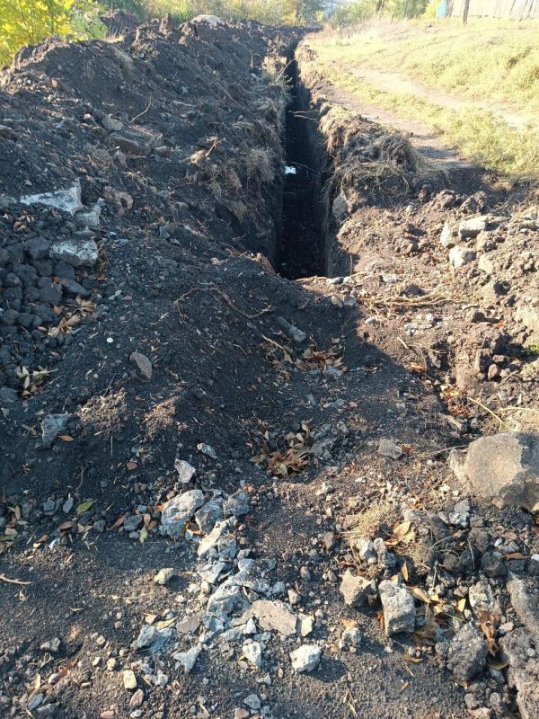 ��� ��������� ������������ ����������� � ���� ���������