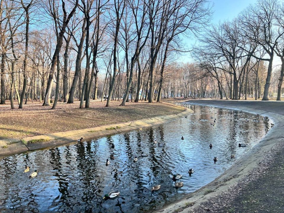 ������ ����. � �� �����, ��� �������