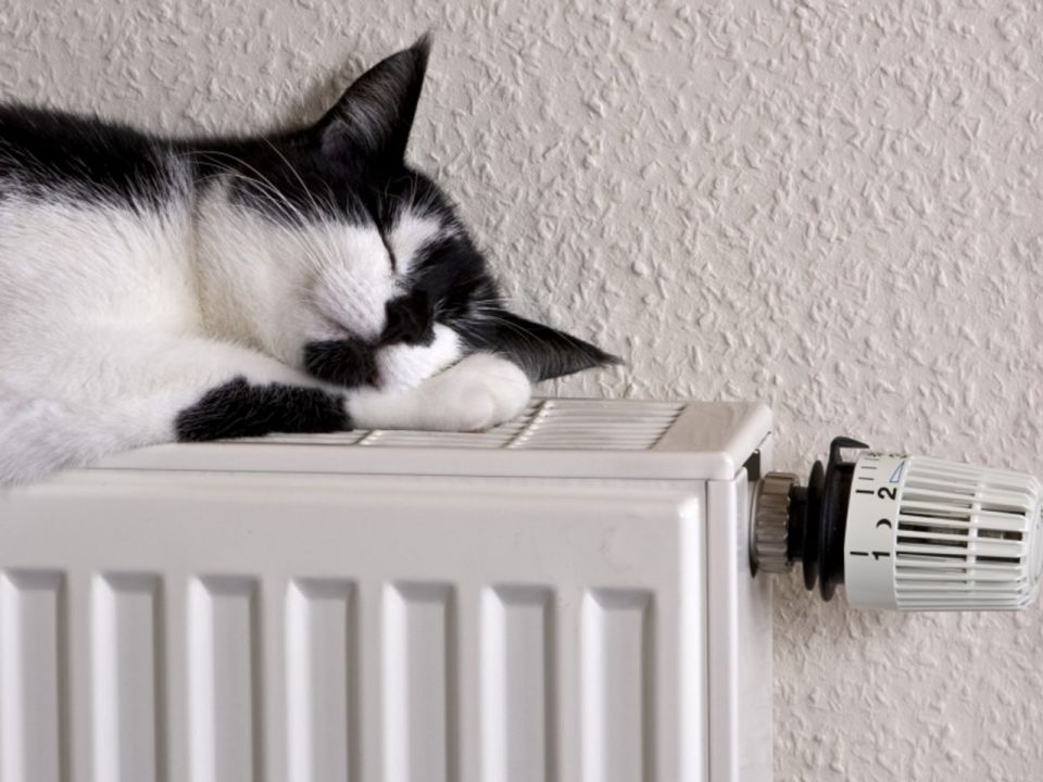 ������� ���������� � ��������� ���