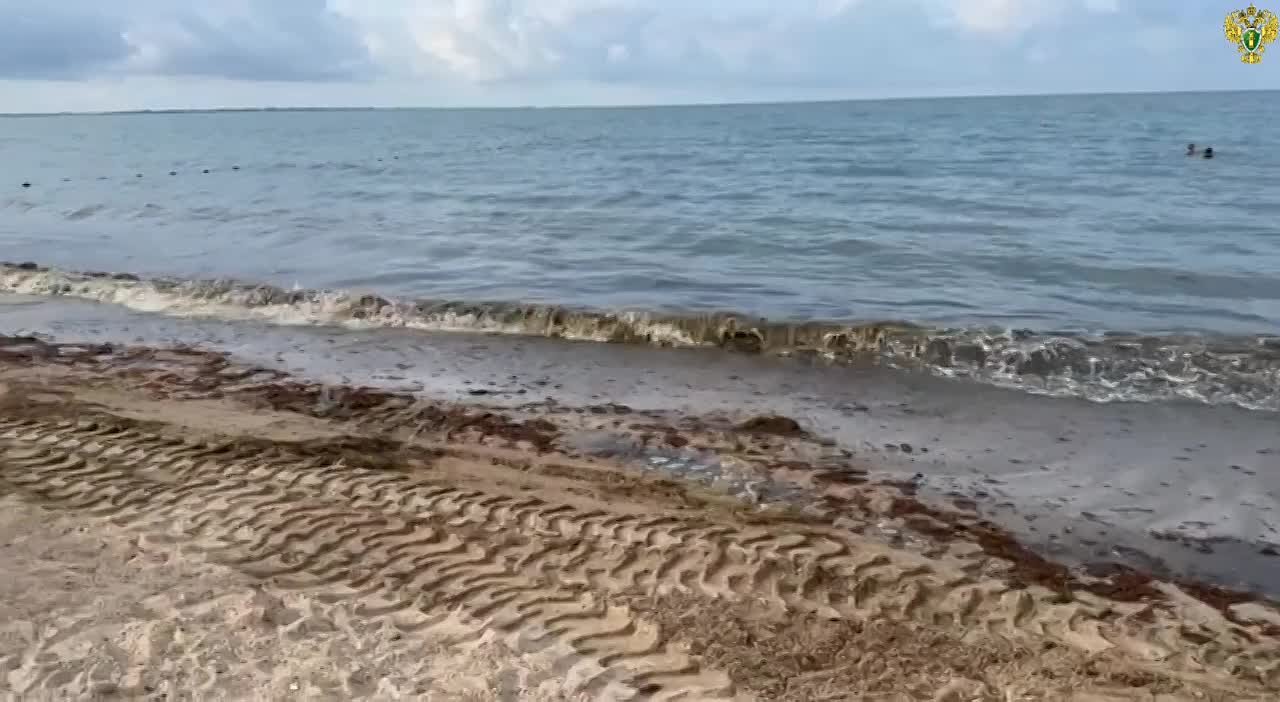 Поездка по пляжу стоила владельцу экскаватора 8 000 рублей