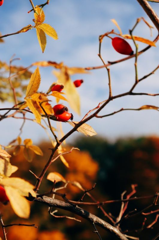 ������ ����. � �� �����, ��� �������