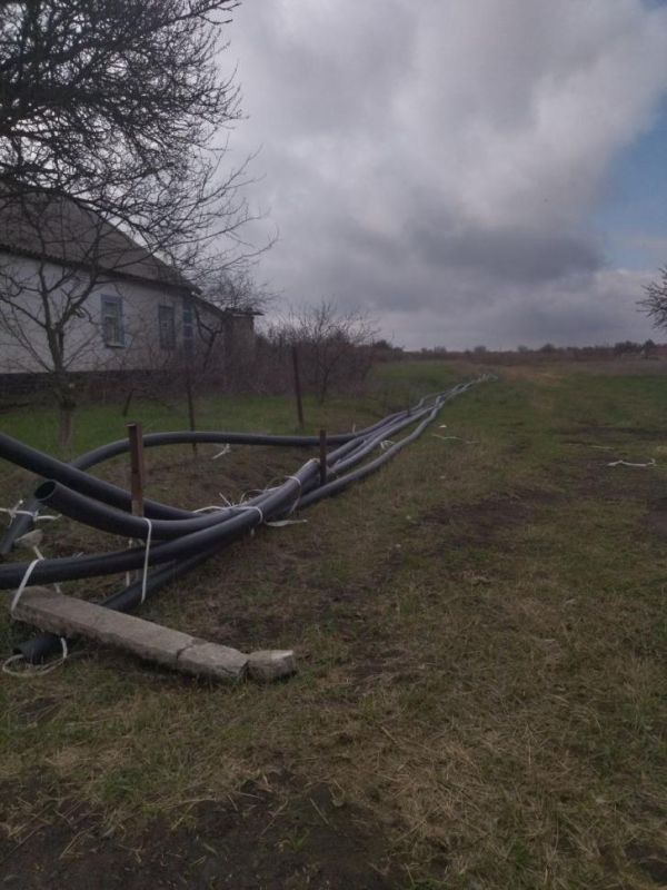 � ��������� �������� ������ ������������� ���� �� ������� ���