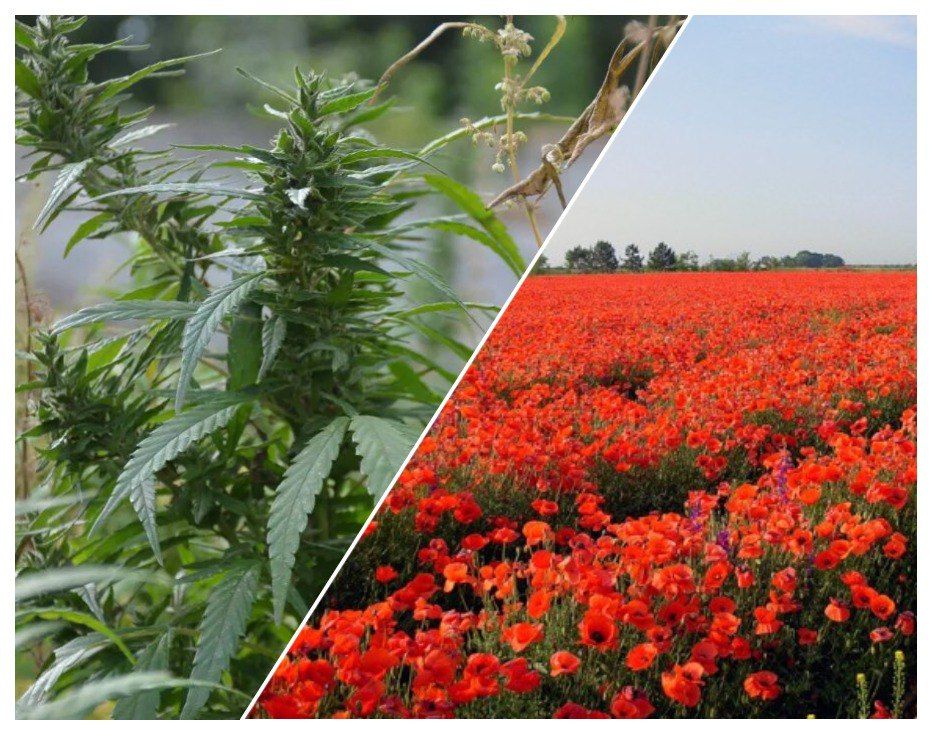 ������ ����������� ��� ��������������������� ����������� ������!!!