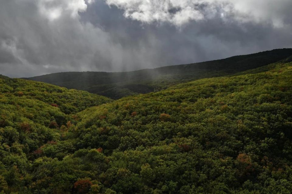 ������ �� ����� ����������� ������