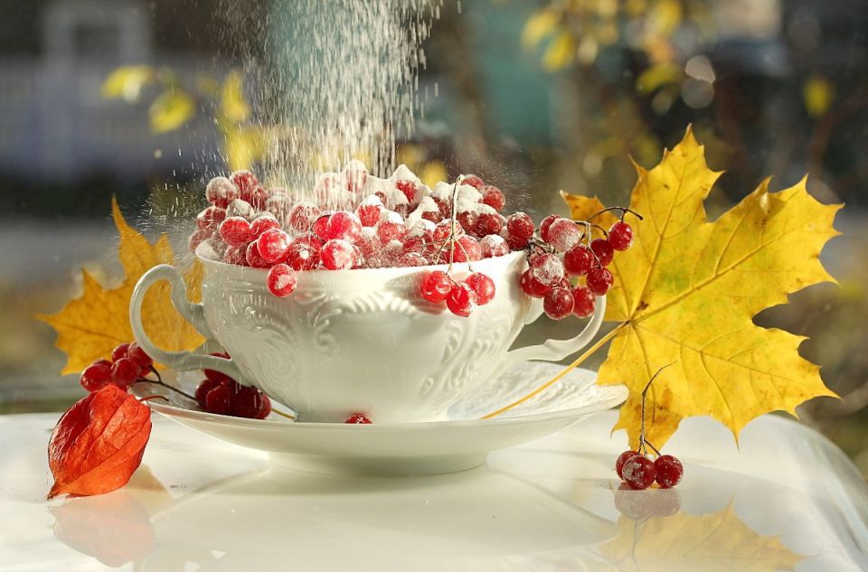 ������ ����. � �� �����, ��� �������